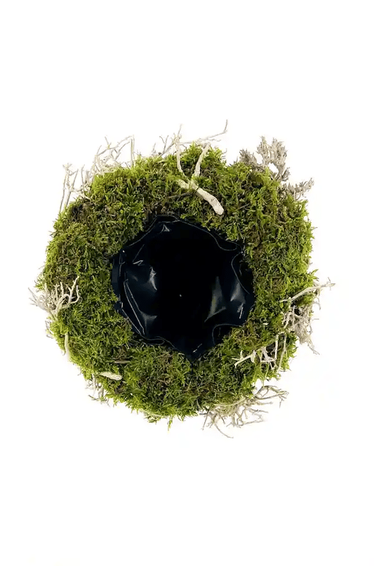 360 grad Ansicht, Kleiner natürlicher Mooskorb mit dekorativen Holzzweigen, vielseitig einsetzbar für Wohn- oder Außendekoration und zum individuellen Bepflanzen.