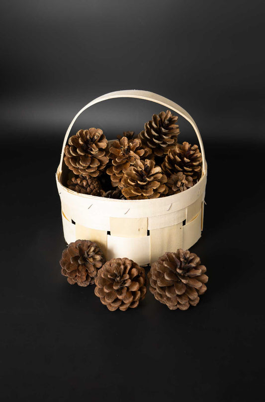 Spankorb mit 15 handverlesenen Schwarzkieferzapfen, ideal zum Basteln und Dekorieren, Durchmesser 22 cm