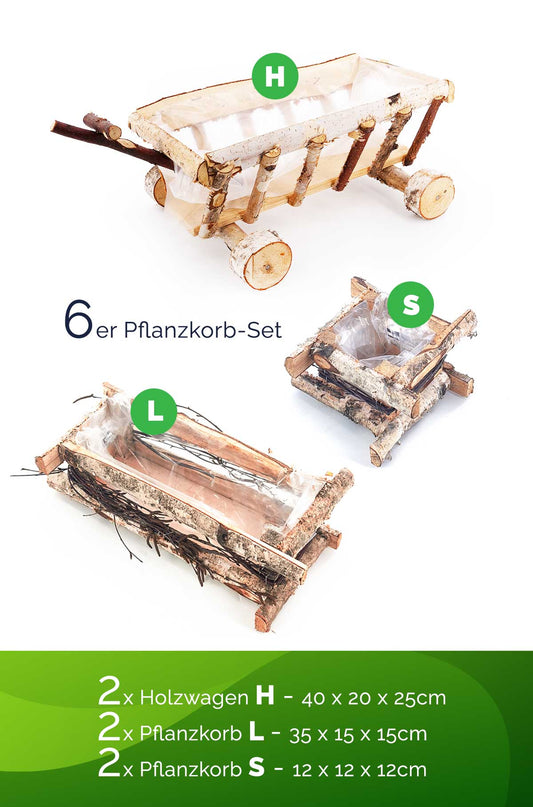 Dekoratives Natur-Set: 2 Holzwagen & 4 Pflanzkästen (2x L, 2x S) aus Birkenholz - dekogreen