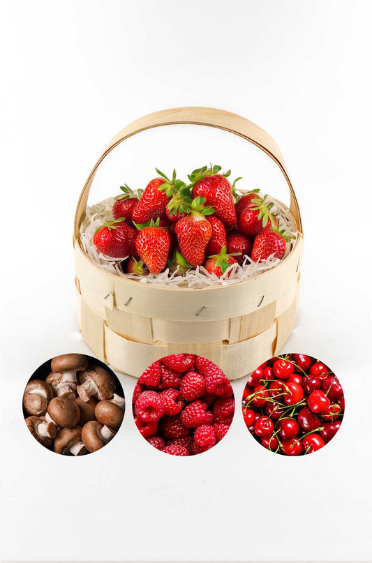 Runder Spankorb mit Henkel – 4er-Set geflochtene Spankörbe – Pilzkorb, Erntekorb, Obstkorb, Geschenkkorb – 22 cm