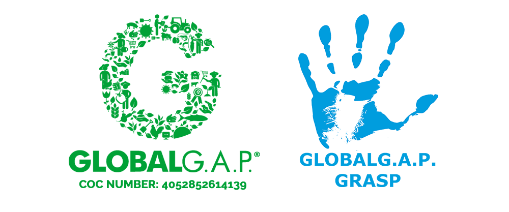 Global GAP - GRASP - Zertifizierung - Horn Grün GmbH - dekogreen.de