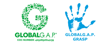 Global GAP - GRASP - Zertifizierung - Horn Grün GmbH - dekogreen.de