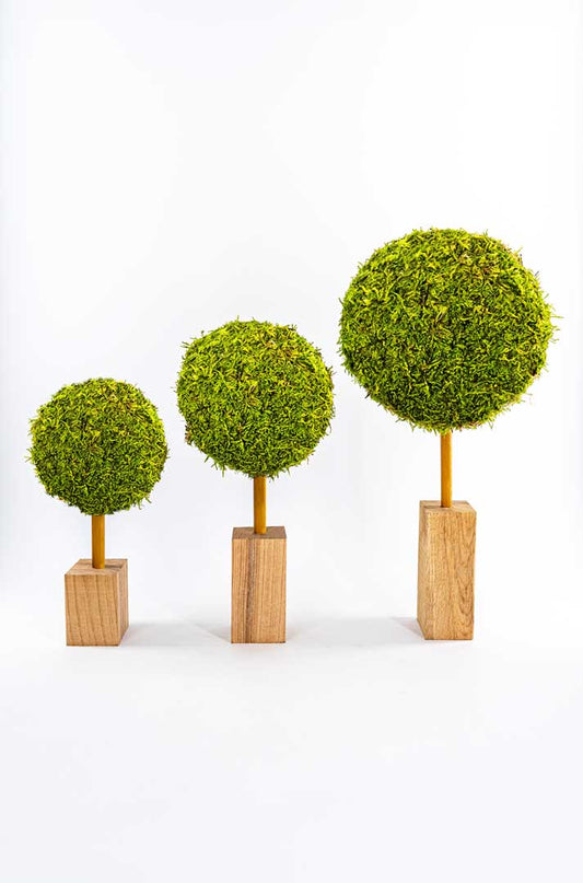Moosbaum Trio - aus echtem Moos handgefertigt für stilvolle Dekoration - 3 Moosbaum Set