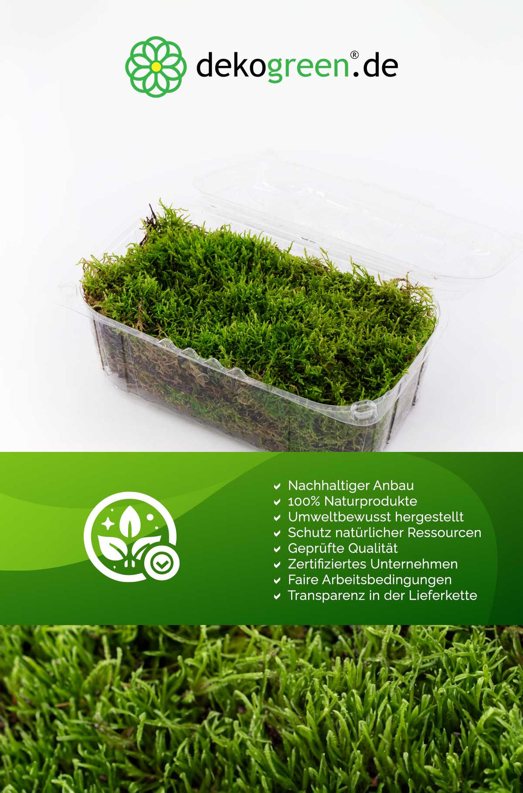 Moos kaufen: Vielfältiges Naturmoos für Deko & Garten | dekogreen.de