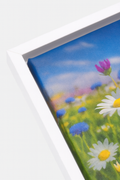 Leinwandbild Blumenwiese mit weißem Schattenfugenrahmen – Naturmotiv 160x80 cm über Sofa dekoriert