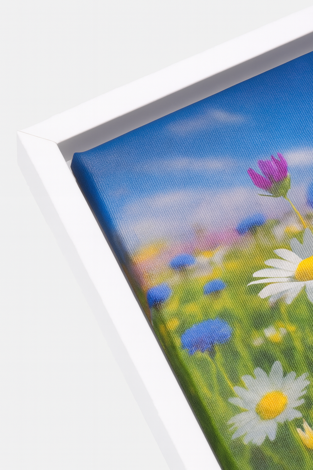 Leinwandbild Blumenwiese mit weißem Schattenfugenrahmen – Naturmotiv 160x80 cm über Sofa dekoriert