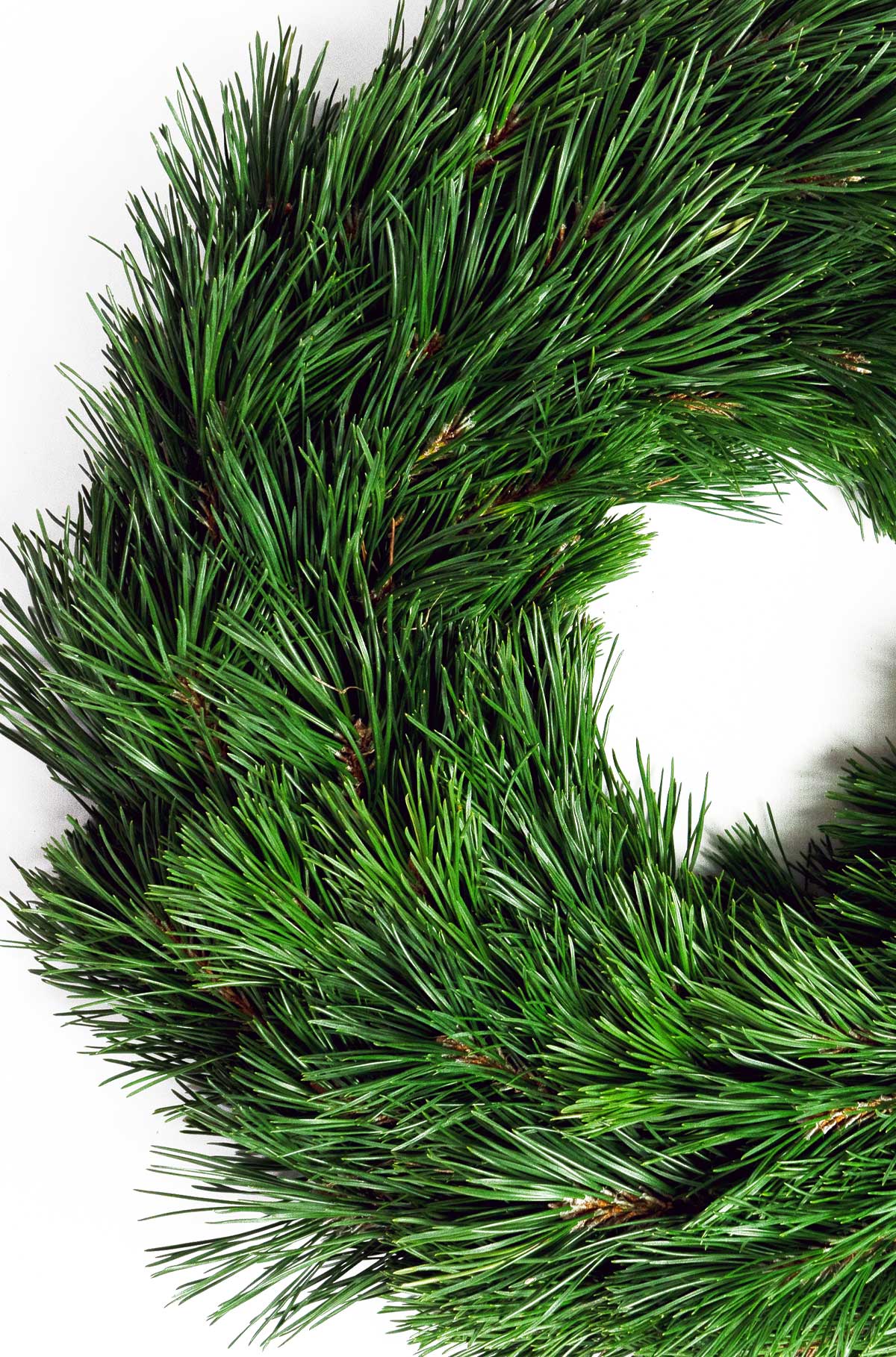 Tannenkranz - Tellerkranz Bergkiefer - Adventskranz - einseitig gebunden - 100% natürlich