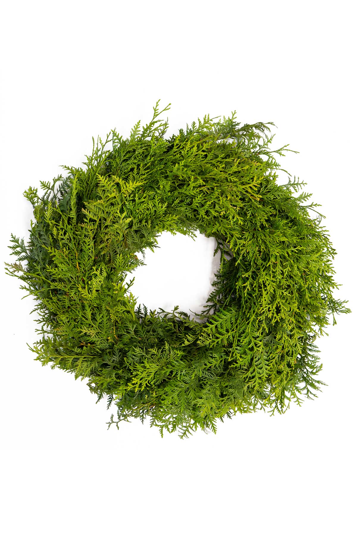 Echter edler Tannenkranz Thuja – Frische Adventskränze online kaufen bei  dekogreen.de