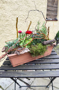 Deko Ideen, Lappenmoos, Flachmoos, dekogreen.de