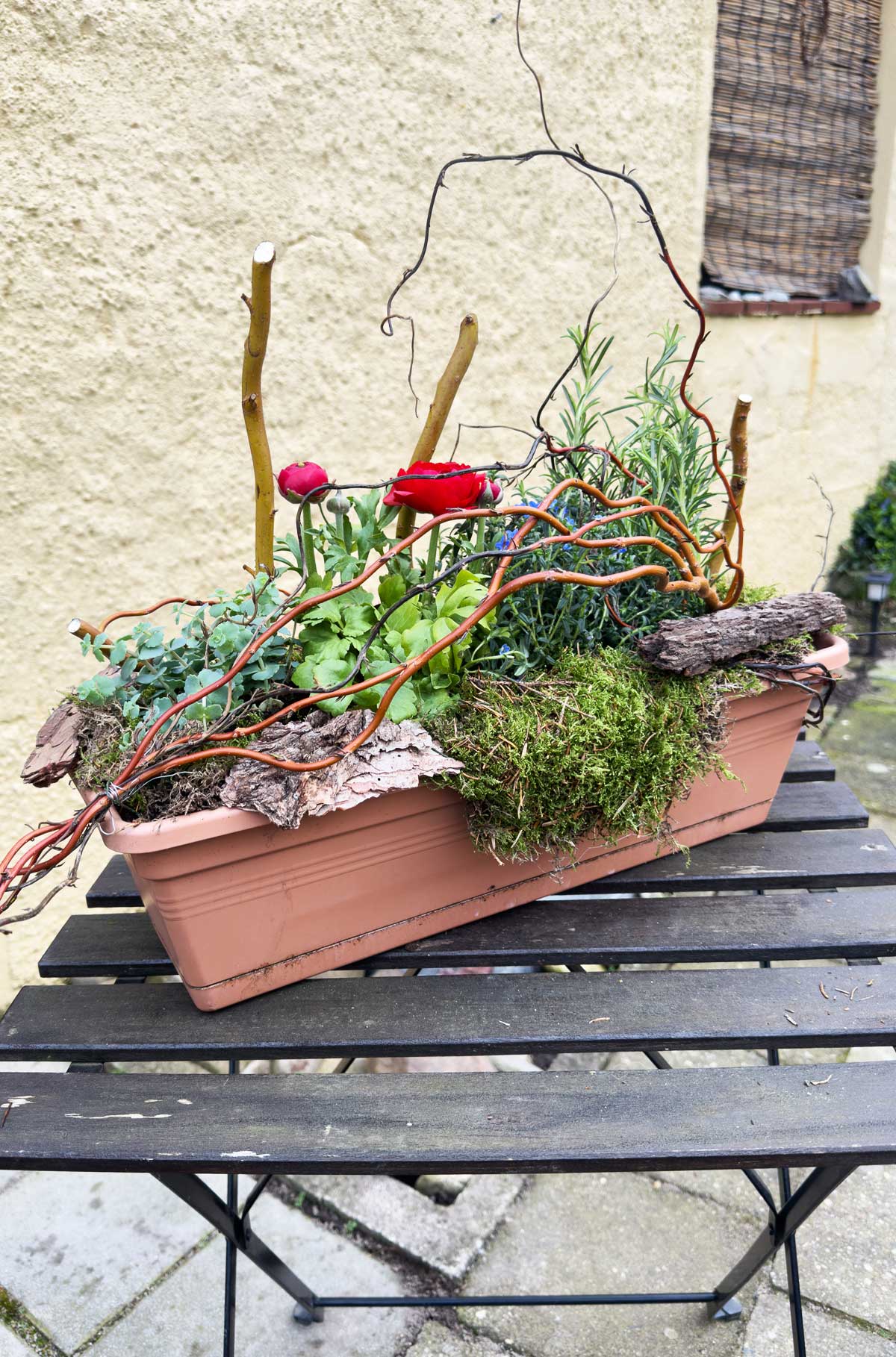 Deko Ideen, Lappenmoos, Flachmoos, dekogreen.de